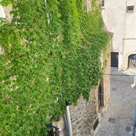 Charming Flat In Old - 50m From The Sea Apartment